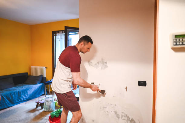 Best Preventive Mold Services in North Pearsall, TX